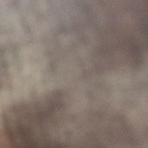 Meet your Posher, Sonia